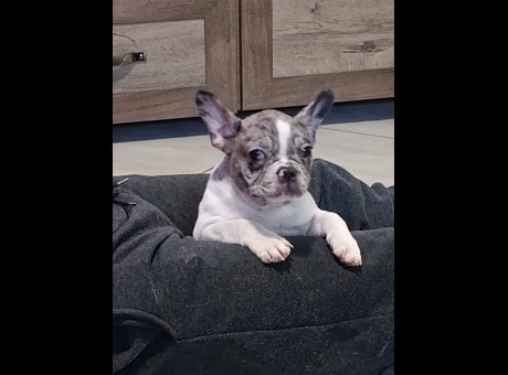 010 viber_slika_2026-01-29_09-41-57-117.jpg